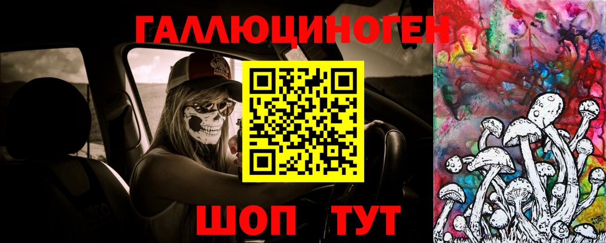 Галлюциногенные грибы ЛСД Карачаевск